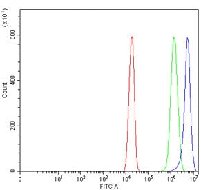 Flow cytometry testing of human U-2 OS cells with CCR7 antibody at 1ug/million cells (blocked with g