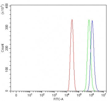 Flow cytometry testing of fixed and permeabilized human A431 cells with Proteasome maturation protei