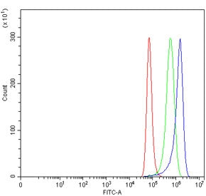 Flow cytometry testing of human HeLa cells with SNCG antibody at 1ug/million cells (blocked with goa