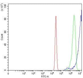 Flow cytometry testing of human U-2 OS cells with NRBF2 antibody at 1ug/million cells (blocked with 