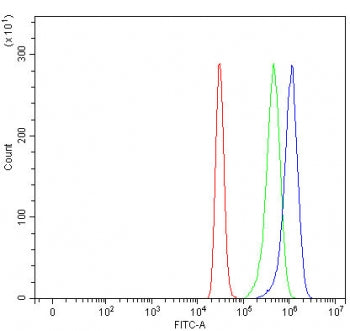 AADACL1 Antibody / Arylacetamide deacetylase-like 1 / NCEH1