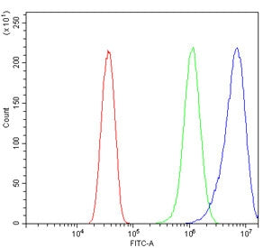 Flow cytometry testing of human HeLa cells with WASL antibody at 1ug/million cells (blocked with goa
