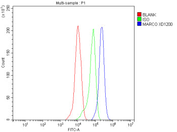 Flow Cytometry analysis of THP-1 cells using anti-MARCO antibody. Overlay histogram showing THP-1 ce