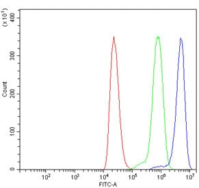 Flow cytometry testing of human ThP-1 cells with Spartin antibody at 1ug/million cells (blocked with