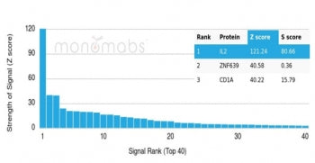 Analysis of a HuProt(TM) microarray containing more than 19,000 full-length human proteins using IL-