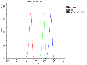 Flow Cytometry analysis of HEL cells using anti-MATN4 antibody. Overlay histogram showing HEL cells 