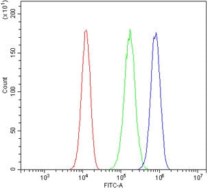 Daxx Antibody