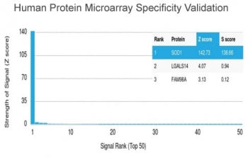 Analysis of HuProt(TM) microarray containing more than 19,000 full-length human proteins using Super