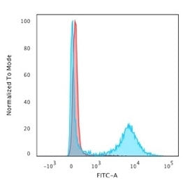 CD8A Antibody