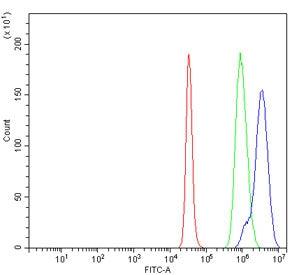 Flow cytometry testing of human K562 cells with DNA Ligase 3 antibody at 1ug/million cells (blocked 