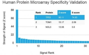 Analysis of HuProt(TM) microarray containing more than 19,000 full-length human proteins using TP53 