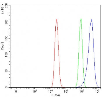 PPP1R11 Antibody / Protein phosphatase 1 regulatory subunit 11