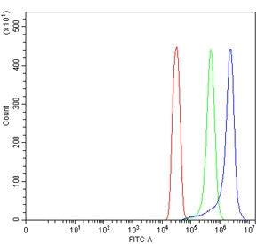 Flow cytometry testing of human SiHa cells with TRAM1 antibody at 1ug/million cells (blocked with go