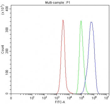 Flow cytometry testing of human Daudi cells with Ro60 antibody at 1ug/million cells (blocked with go