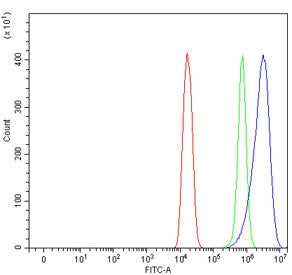 Flow cytometry testing of mouse HEPA1-6 cells with FXR2 antibody at 1ug/million cells (blocked with 