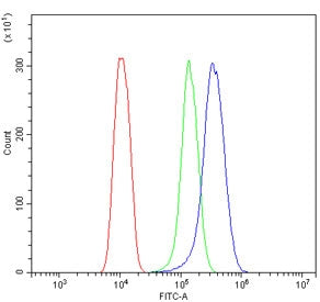 Insig1 Antibody