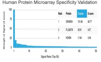 GRAMD4 Antibody