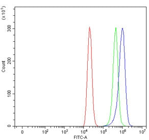 CXCR2 Antibody