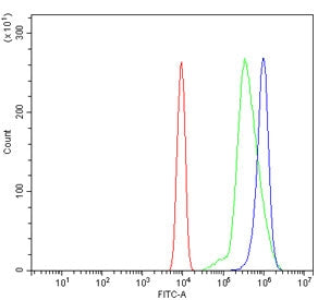 Gbp2 Antibody / Guanylate-binding protein 2