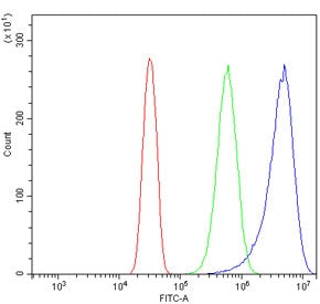 SHISA6 Antibody