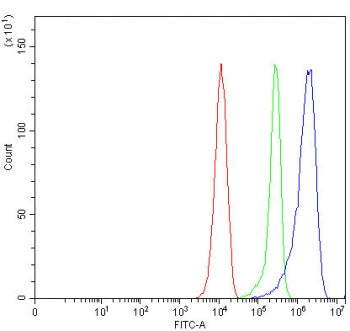 Flow cytometry testing of mouse RAW264.7 cells with SEPTIN1 antibody at 1ug/million cells (blocked w