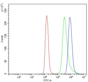 IL-37 Antibody