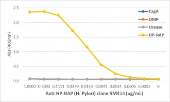 H pylori NAP Antibody / Helicobacter pylori Neutrophil-activating protein