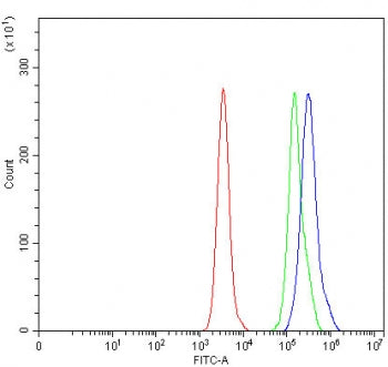 Flow cytometry testing of human Daudi cells with RNMT antibody at 1ug/million cells (blocked with go