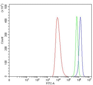 Flow cytometry testing of human HEL cells with MDR15 antibody at 1ug/million cells (blocked with goa