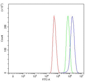 Flow cytometry testing of human U-251 cells with SFR1 antibody at 1ug/million cells (blocked with go