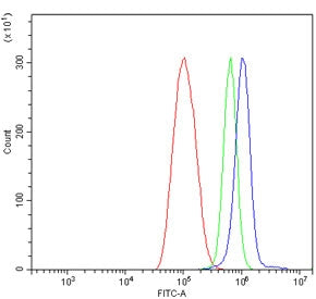 GRB10 Antibody