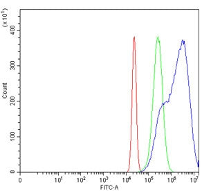 Growth arrest-specific protein 1 Antibody / GAS1