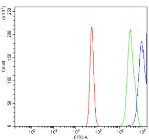 CLIC1 Antibody