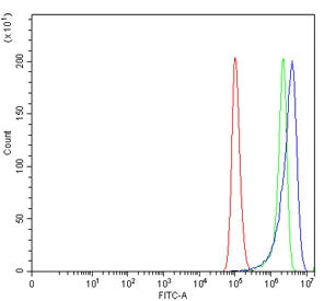 Flow cytometry testing of human HeLa cells with Glutathione Peroxidase 4 antibody at 1ug/million cel