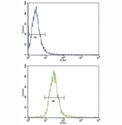 TLR6 Antibody