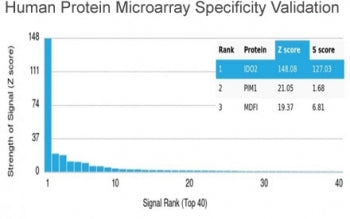 INDOL1 Antibody / IDO2