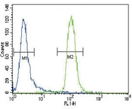 MUSK Antibody, 0.08ml