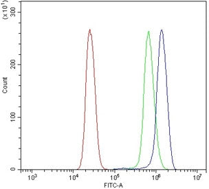 DLG4 Antibody / PSD95