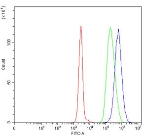 Flow cytometry testing of human Daudi cells with TIGD6 antibody at 1ug/million cells (blocked with g