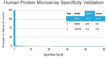 Analysis of HuProt(TM) microarray containing more than 19,000 full-length human proteins using GATA3