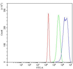 FRK Antibody / FYN-related kinase