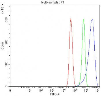 Flow cytometry testing of fixed and permeabilized human U-251 cells with CrkL antibody at 1ug/millio