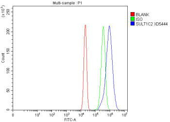 Flow Cytometry analysis of RT4 cells using anti-SULT1C2 antibody. Overlay histogram showing RT4 cell