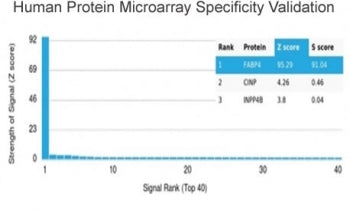 FABP4 Antibody