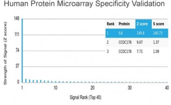 IL-6 Antibody