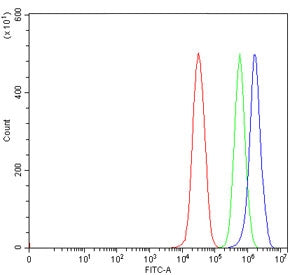 Flow cytometry testing of human 293T cells with ADAR2 antibody at 1ug/million cells (blocked with go