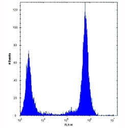 TLR4 antibody flow cytometric analysis of U251 cells (right histogram) compared to a negative contro