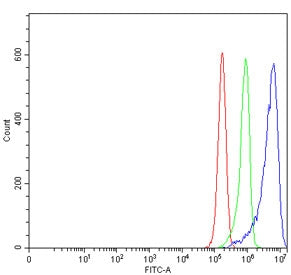 Flow cytometry testing of human RT4 cells with RHNO1 antibody at 1ug/million cells (blocked with goa