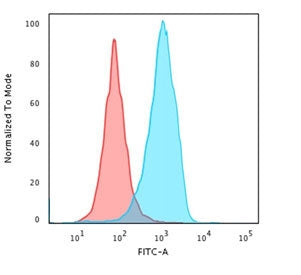 CD63 Antibody / LAMP-3