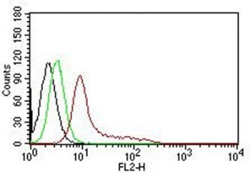 FACS testing of human K562 cells with Ku70 + Ku80 antibody. Black=cells alone; Green=isotype control